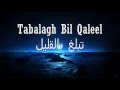 Usama al safi  tabalagh bil qaleel