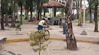 La caida de emiliano la anguila
