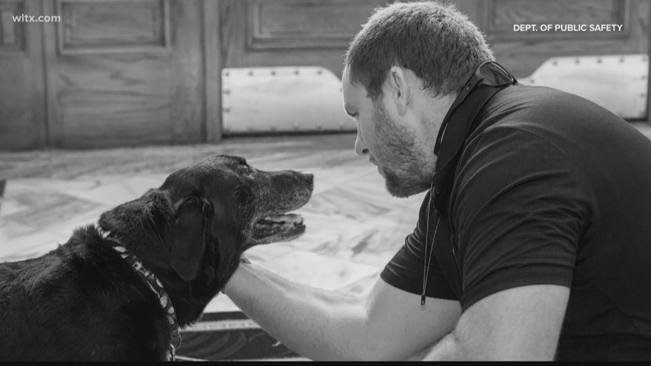 Veteran reunites with the dog he went to war with - YouTube