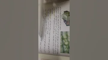 أحياء الصف الأول المتوسط البلاستيدات 