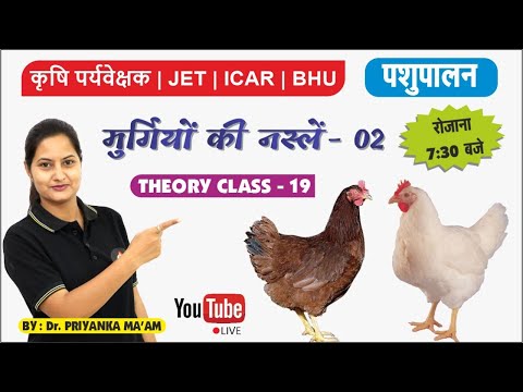 मुर्गियों की नस्लें-02 ||पशुपालन|| JET COACHING || THEORY CLASS - 19 || JET/ICAR/BHU/SKNAU JOBNER ||