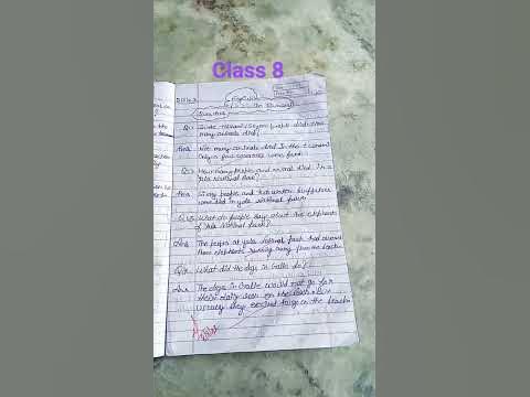 What is tsunami class 8