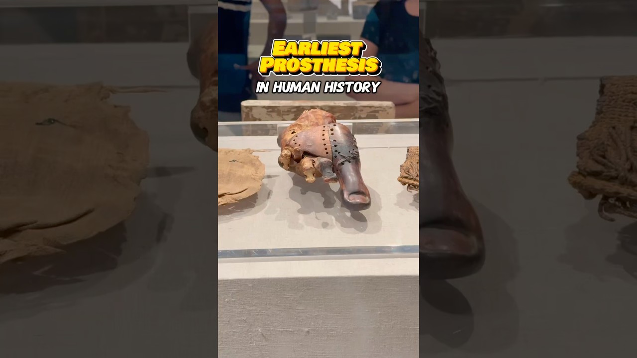 The Cairo Toe | Earliest known prosthesis | First Prosthesis | Egyptology