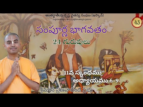 24 గురువులు (11వ స్కంధము అధ్యాయము 6-9) || సంపూర్ణ భాగవతం || శ్రీమాన్ ప్రణవానంద ప్రభు
