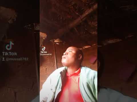 Jamaa Shabiki Wa Ndama Jigushilaga Waponzwa Na Ndama 30 2024