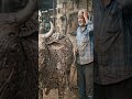 અદભુત કલા: કારીગરે બનાવી લોખંડની ગાય માતા 🐄 | Metal Art