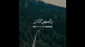 إِنَّ اللَّهَ لَا يَظْلِمُ النَّاسَ شَيْئًا || سورة يونس || عبد الباسط عبد الصمد 💙🍃