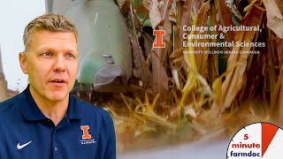 Fringe Acres and US Average Corn Yield Profile