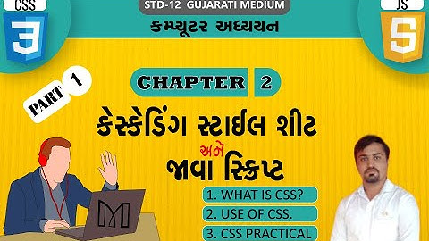 STD 12 CHAPTER  2 CSS AND JAVA SCRIPT PART-1