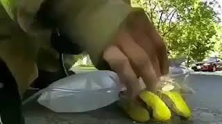 Insaliq Hele Ölmüyüb