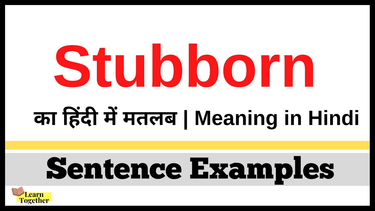 Stubborn Meaning in Hindi  Stubborn ka sentence me use kaise kare