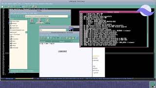 Playing with Raylib