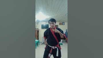 counter side kick with back sweeping short video #hanseipmvlog