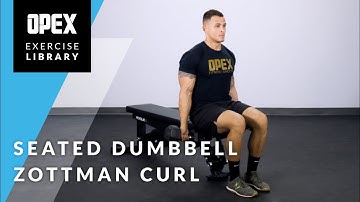 Seated Dumbbell Zottman Curl  - OPEX Exercise Library