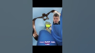 Mastering Precision  The Art of Watch Winding