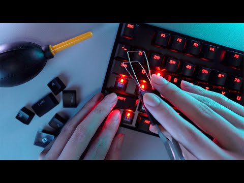 [ASMR]⌨️✨キーボードクリーニング - Gaming Keyboard Cleaning(No talking)