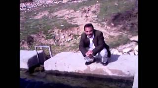 gülbiş şikri & zeki