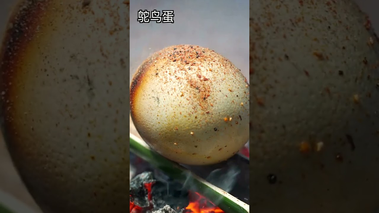 034 🍒🍏🍊🍉🌸 