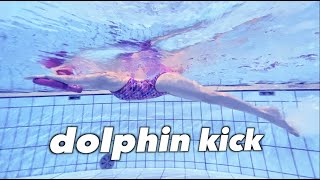 【水泳女子】バタフライを速く泳ぐコツはドルフィンキックにある！完全習得５ステップThe trick to swimming the butterfly fast is the dolphin kick