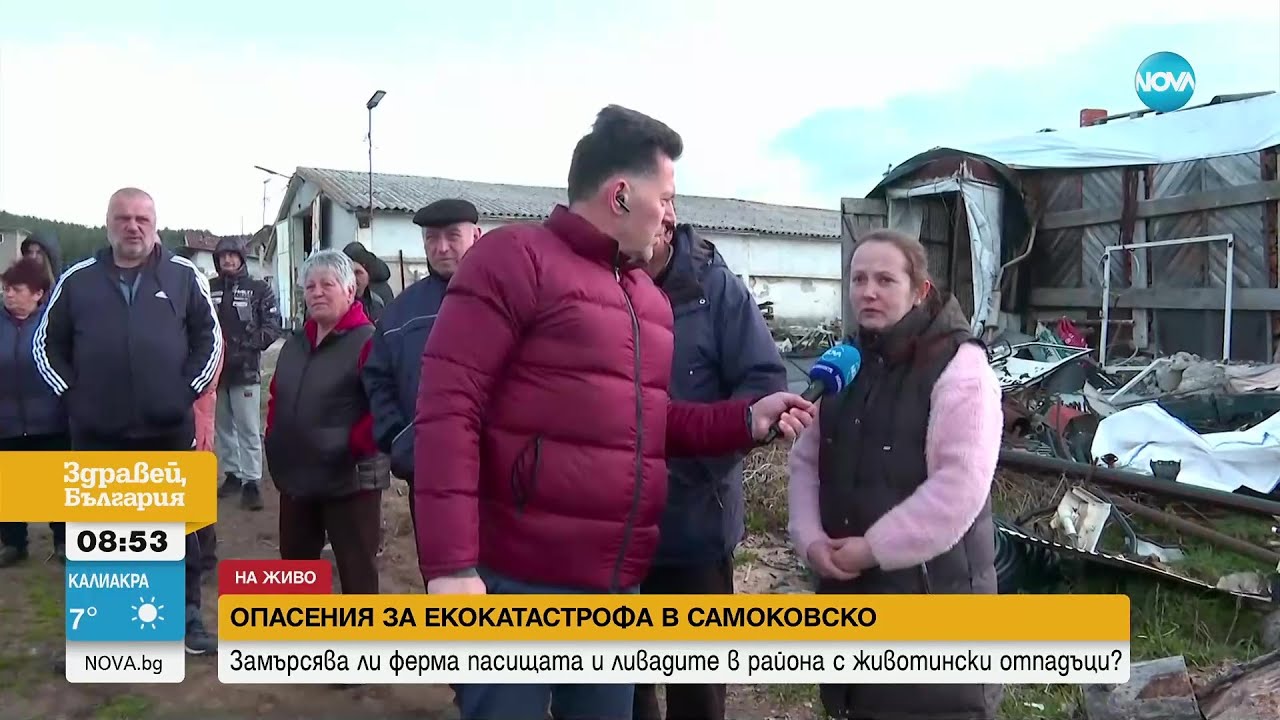 Опасения за екокатастрофа в Самоковско: Замърсява ли ферма пасища и ливади с животински отпадъци?