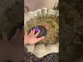 Fountain Update after 3 years + seasons of use!+quality?
