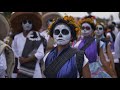 Dia de Muertos en México🏵️🕯️🦋💀