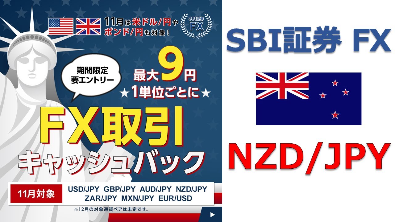 FXキャンペーン対象通貨ペア （NZドル/円）