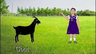 G for Goat || G for Girl || #G || Kids abc || Nursary abc || Children Study || Chu Chu TV
