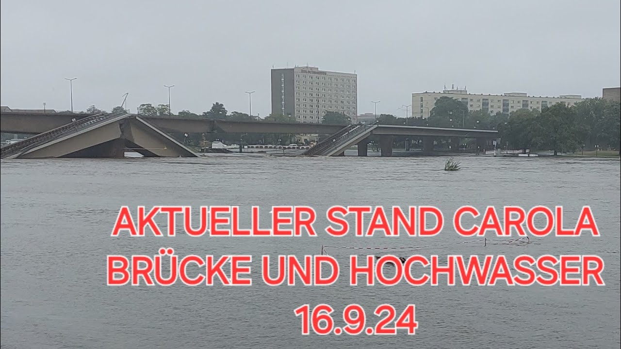 AKTUELLER STAND CAROLA BRÜCKE UND HOCHWASSER DRESDEN 16.9.24