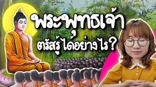 พระพุทธเจ้าตรัสรู้ได้อย่างไร ไปพบเห็นอะไรถึงตรัสรู้? | Point of View