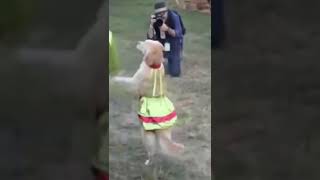 #Shorts Funny Dancing Dog!