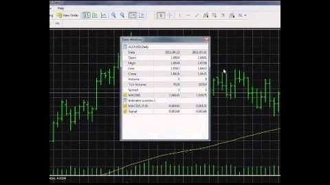 Data Window and Indicator window