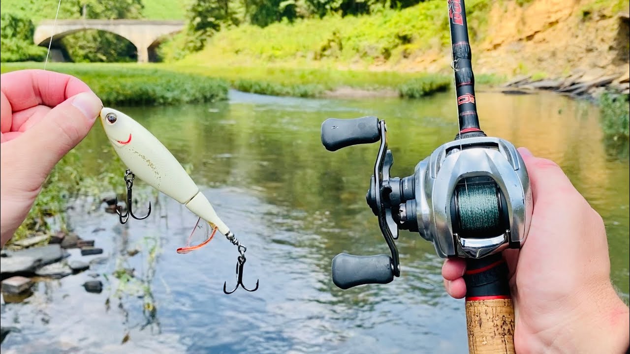 alabama bass lure Rig Kit,2 Sets Umbrella Rig Fishing Kit with Jig Heads and Trailers,5 Arms Fishing Umbrella Rigs Swimbait Lure for Trout Salmon : Sports & Outdoors Snap does not open Alabama River Was LOADED with