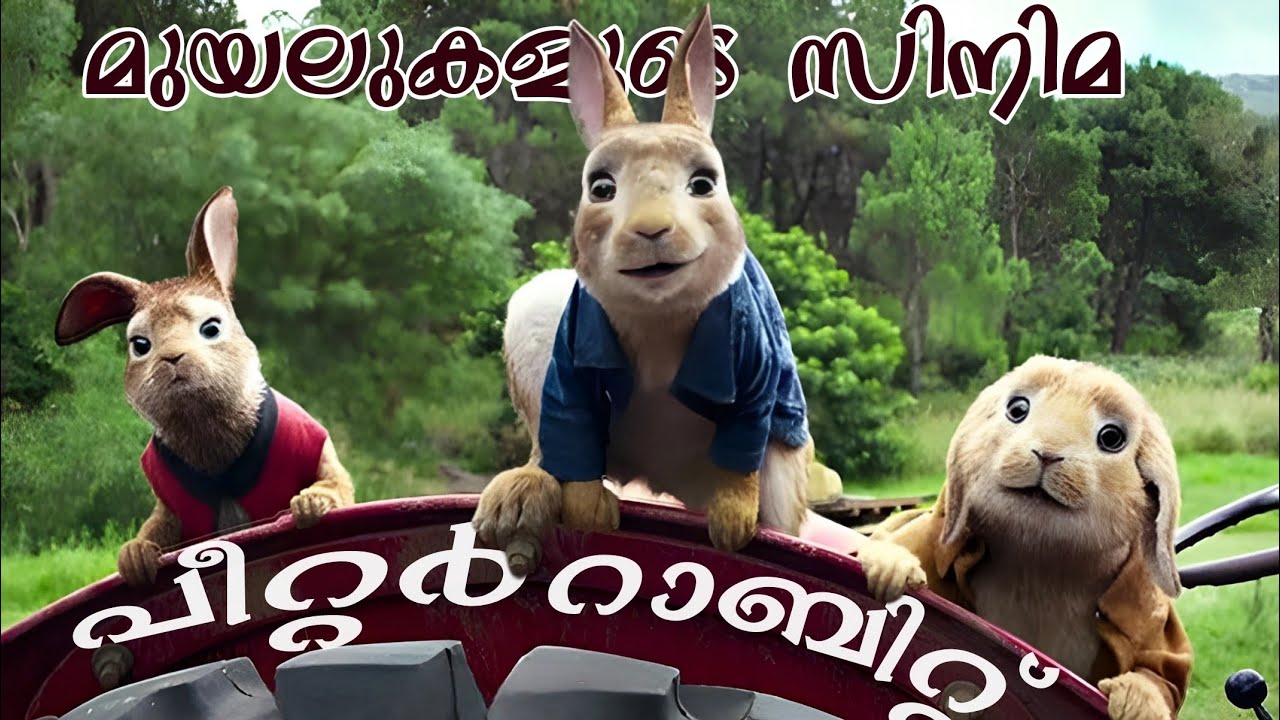 Peter Rabbit 2018 Malayalam Explain ‎‎⁨@RnCinemaOfficial