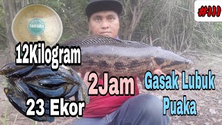 Lubuk Puaka Mengganas serta Gasak || Kurang 2 Jam Lebih 12 Kg Lande
