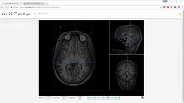 OpenNeuro.org Tutorial 1: Uploading and versioning your data