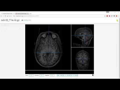 OpenNeuro.org Tutorial 1: Uploading and versioning your data