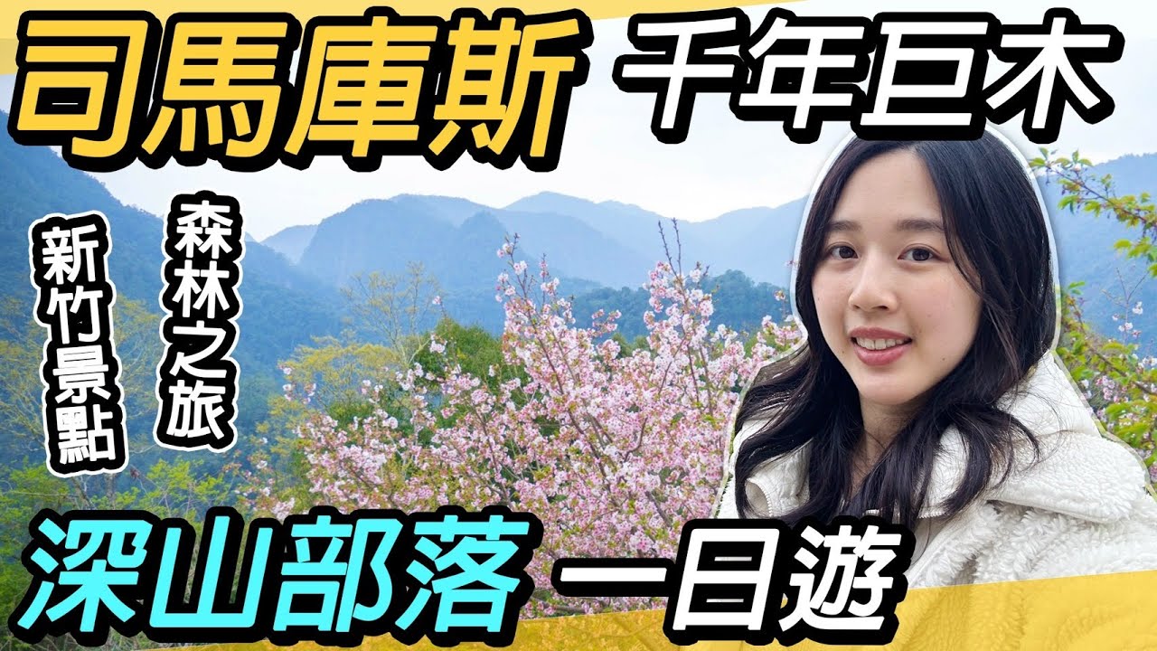 新竹司馬庫斯一日遊！壯麗千年神木｜上帝的部落～群山環繞森林之美