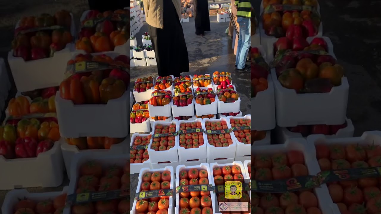 سوق الخضار #عنيزة يوم الخميس ١٤٤١/٦/١٩