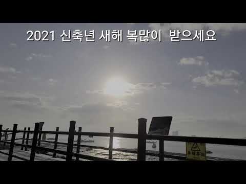 2021신축년 새해 복많이 받으세요 ~♡♡♡