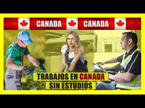 Los 10 Trabajos Mejor Y Peor Pagados En Canadá