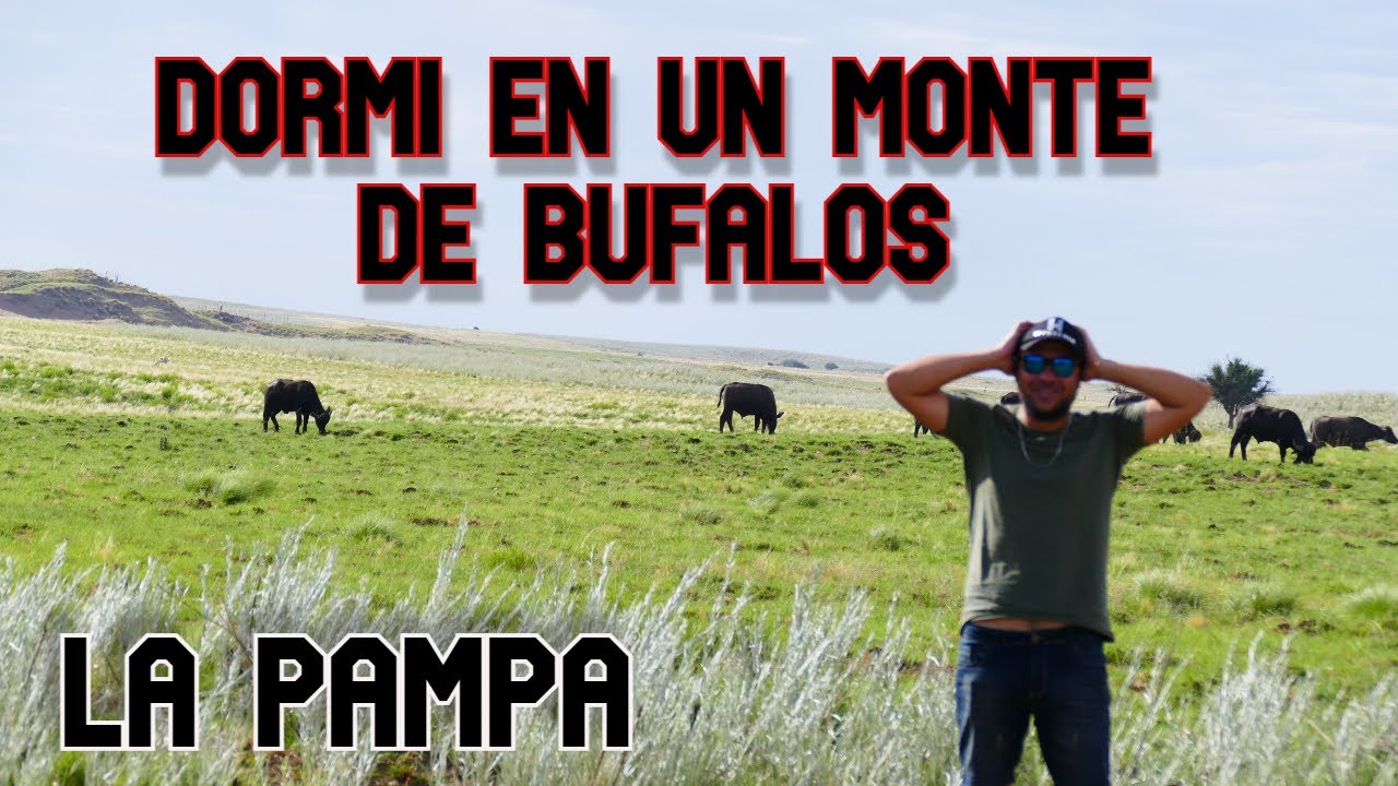 Quehue. La Pampa. ESTANCIA NEHUEN MAPU