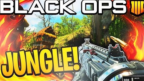 Belt-Feed BO4 Operator Mod is UNFAIR! (Cordite Operator Mod) Best Class Setup!! in BO4!!