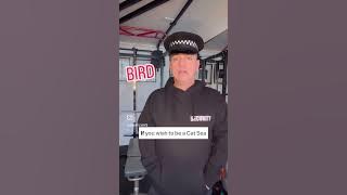 38d6fbe4cf1f412a9cb5b0fce431e517