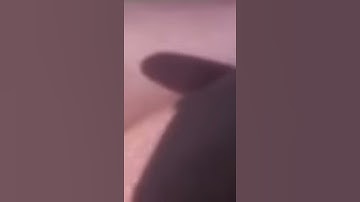Adding Auto Tune To Random Videos | "Ahhh I