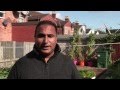Near Neighbours: Balsall Heath Community Garden