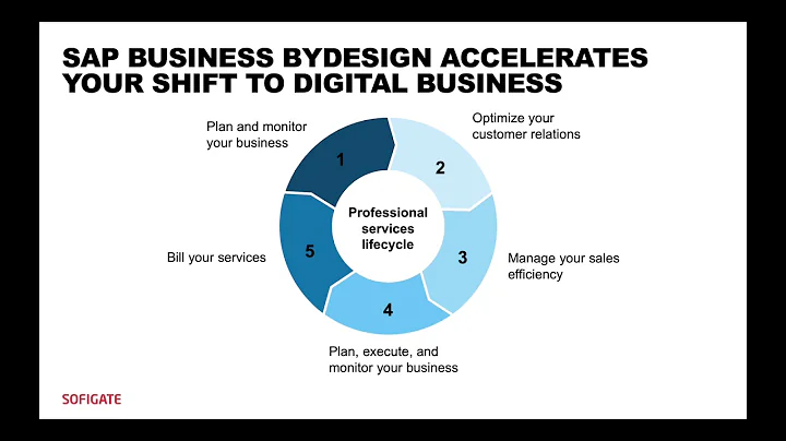 Sofigate Professional Services Starter Package