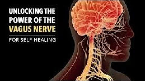 resetting Nervous System