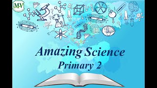 Science Primary 2: Loud and Soft Sounds screenshot 1