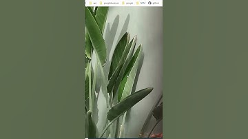 Mask image background images #css #animation #coding #html #mask